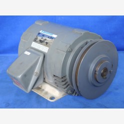 Marathon FVE 182TTDR7026BF WF1, 3 hp